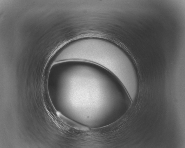 X0000086060436200703230951