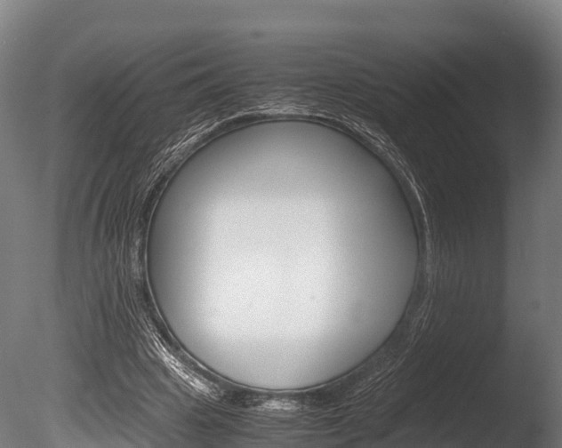 X0000086060441200703230951