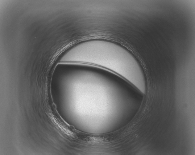 X0000086060442200703230951