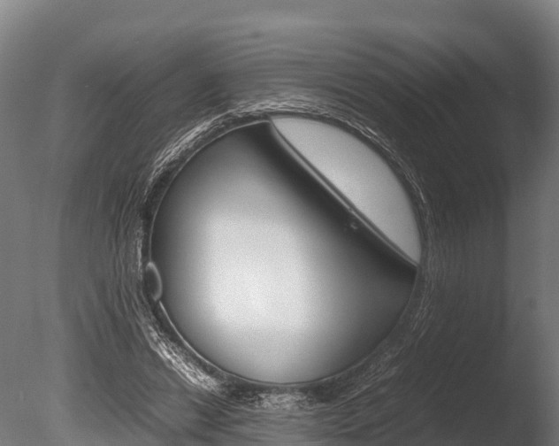 X0000086060446200703230951