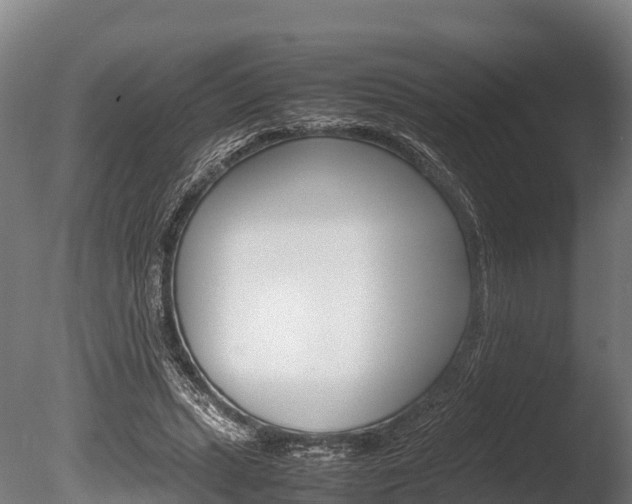 X0000086060447200703230951