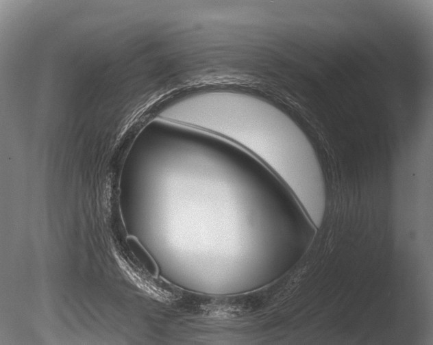 X0000086060448200703230951