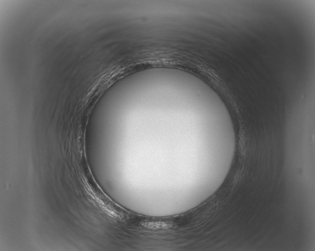 X0000086060449200703230951