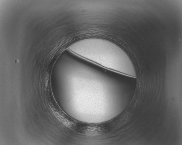 X0000086060458200703230951