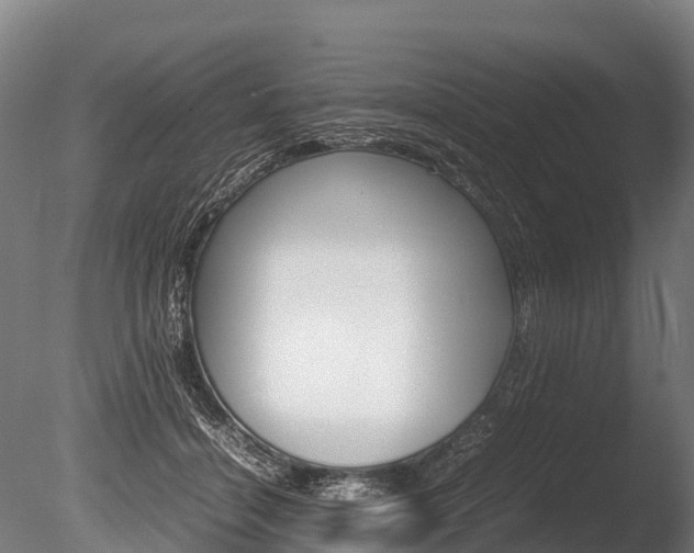 X0000086060460200703230951