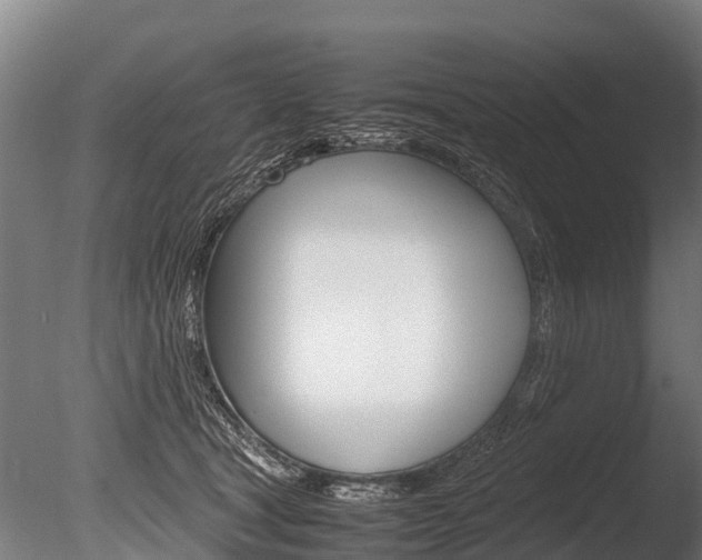 X0000086060465200703230952
