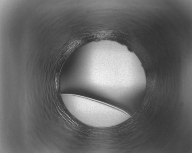 X0000086060479200703230952