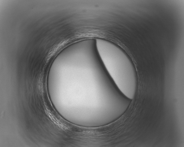 X0000086060482200703230951