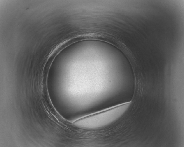 X0000086060484200703230951
