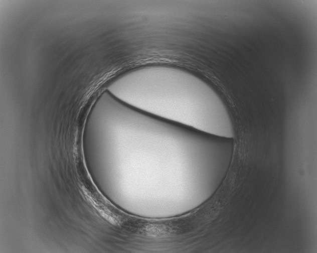 X0000086060490200703230951