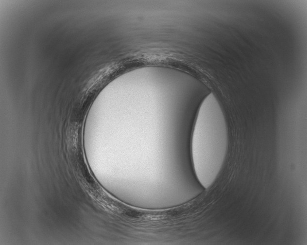 X0000086060495200703230951