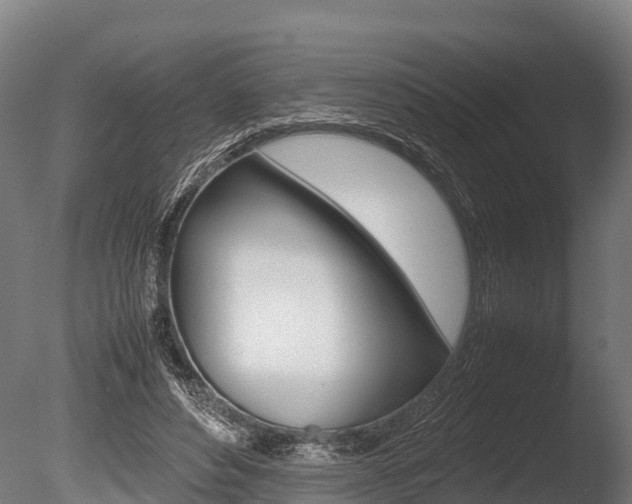 X0000086060496200703230951