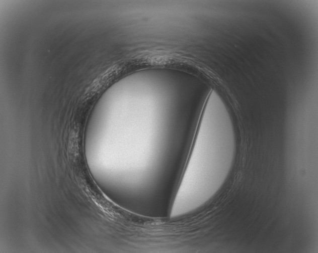 X0000086060497200703230951