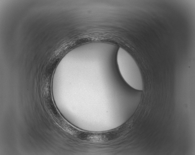 X0000086060499200703230951