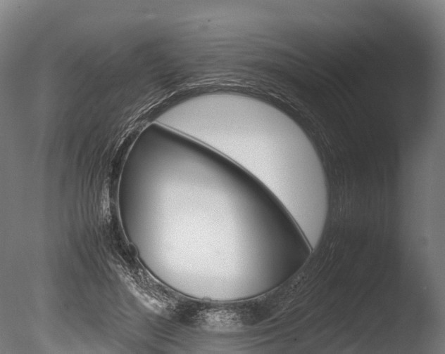 X0000086060500200703230951