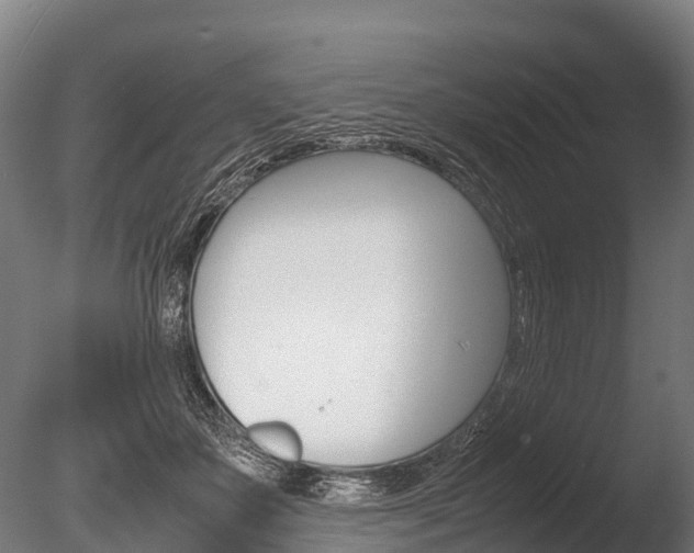 X0000086060507200703230950