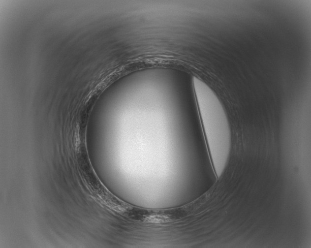 X0000086060508200703230950
