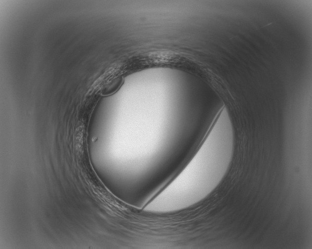 X0000086060509200703230950