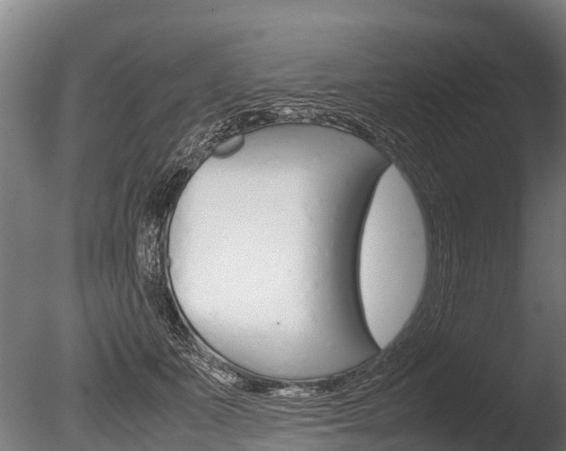 X0000086060511200703230950