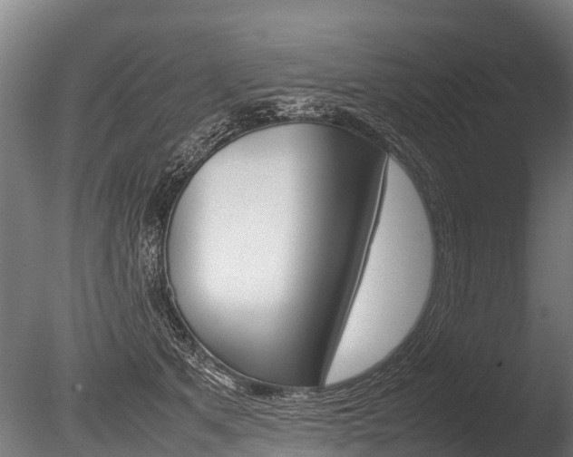 X0000086060513200703230950