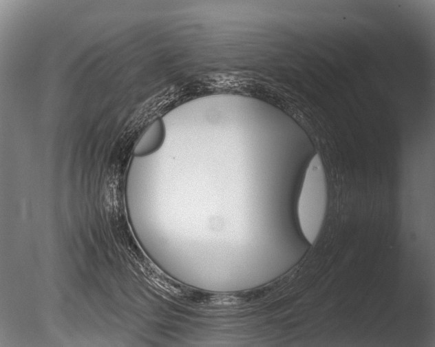 X0000086060514200703230950