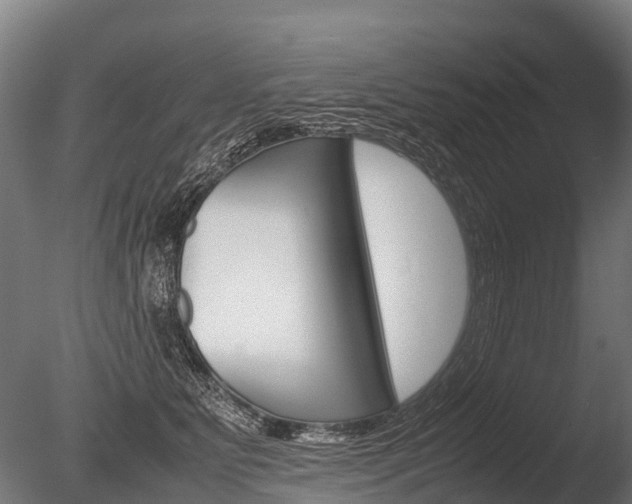 X0000086060515200703230950
