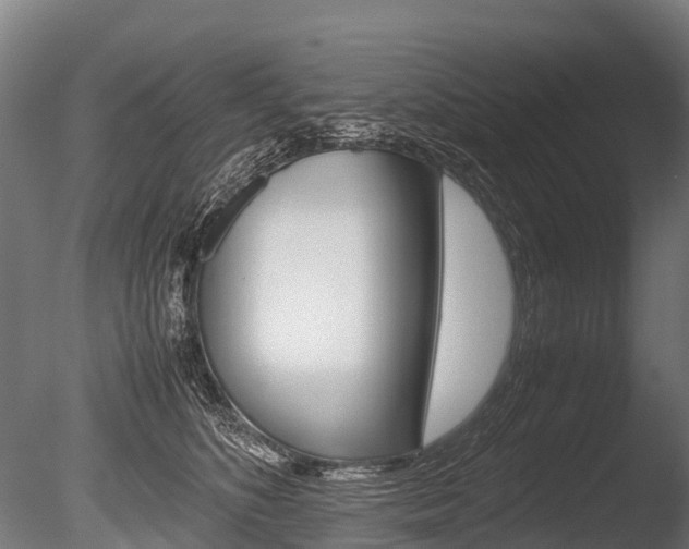 X0000086060516200703230950