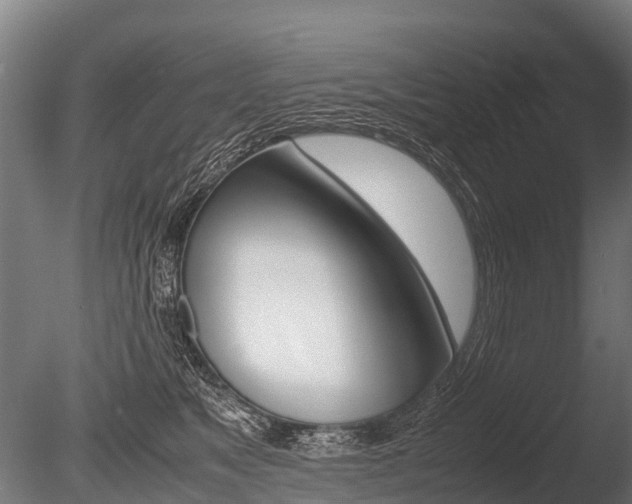 X0000086060517200703230950