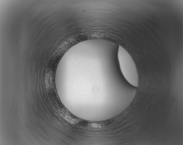 X0000086060522200703230950