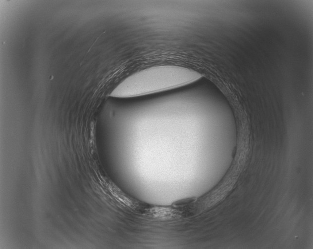 X0000086060528200703230950
