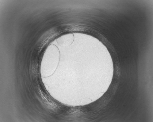 X0000086060534200703230949
