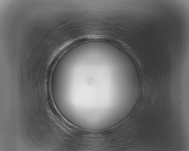 X0000086060535200703230949