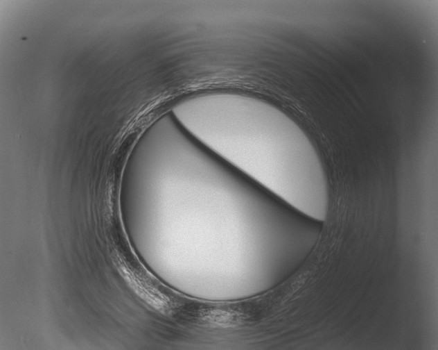 X0000086060542200703230950