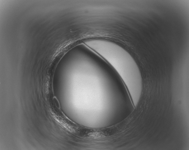 X0000086060544200703230950