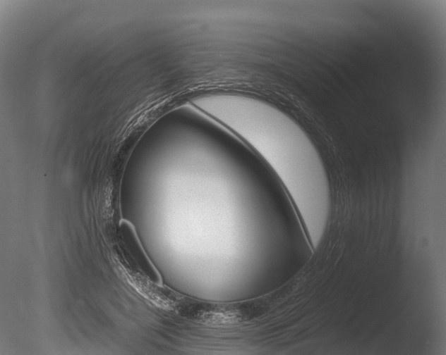 X0000086060548200703230950