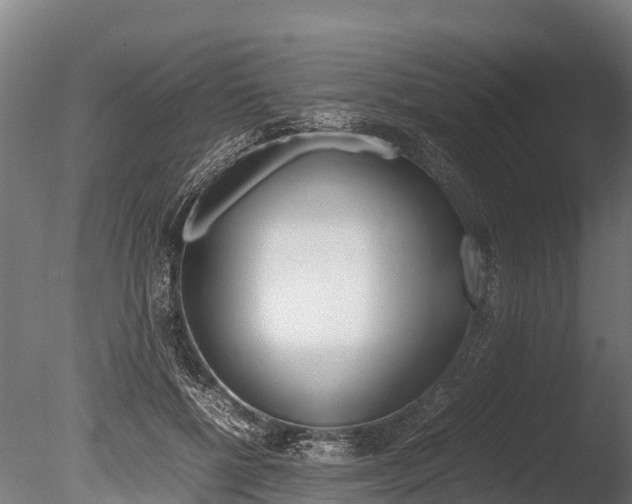 X0000086060552200703230950