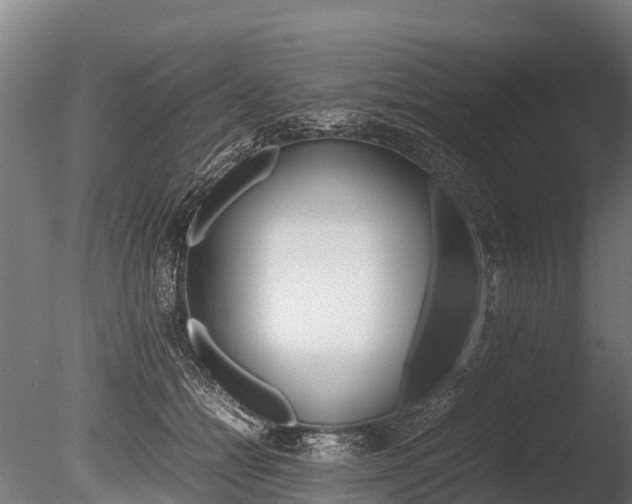 X0000086060558200703230950