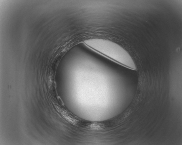 X0000086060566200703230950