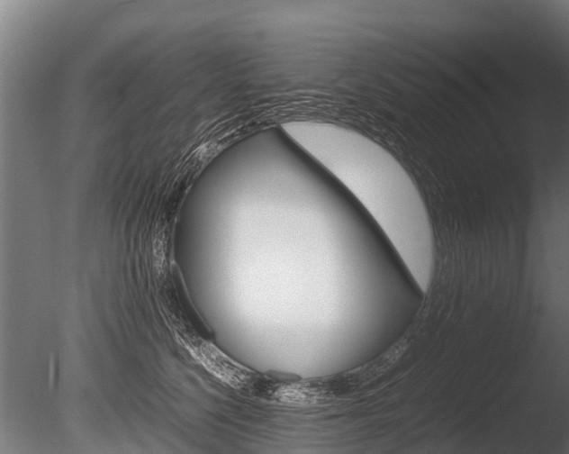 X0000086060568200703230950