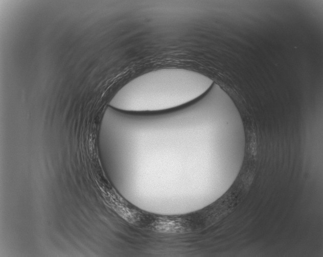 X0000086060569200703230950