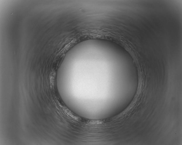 X0000086060576200703230950