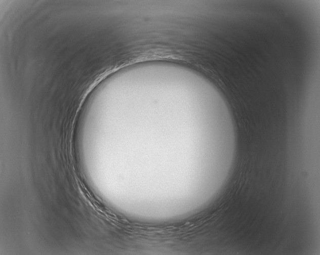 X0000086060579200703230949