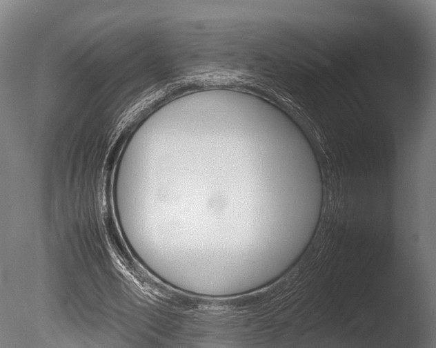 X0000086060582200703230949