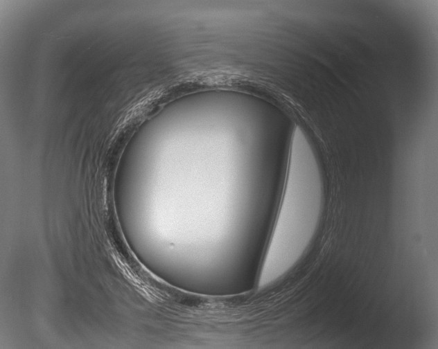 X0000086060589200703230949