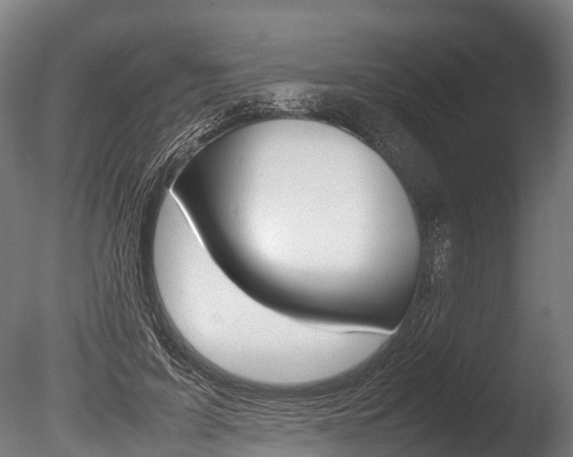X0000086060595200703230949