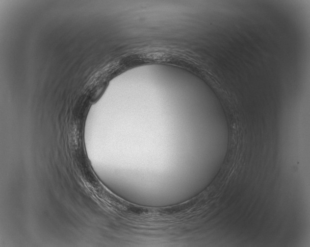 X0000086060597200703230949