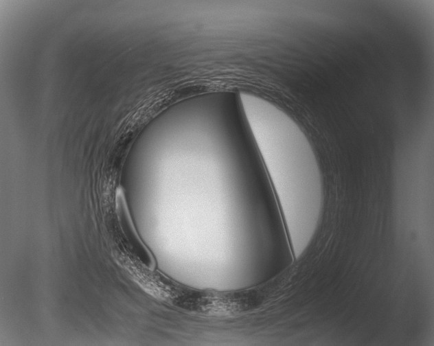 X0000086060601200703230949