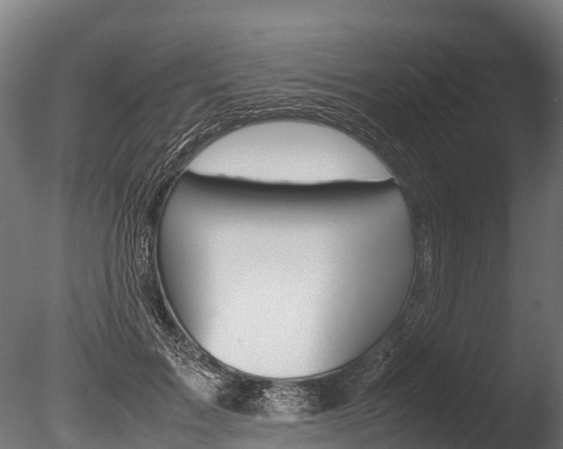 X0000086060603200703230949