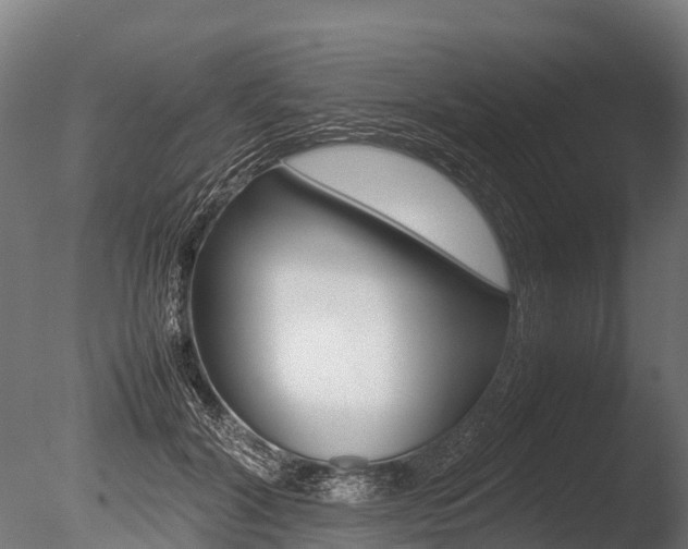 X0000086060604200703230949