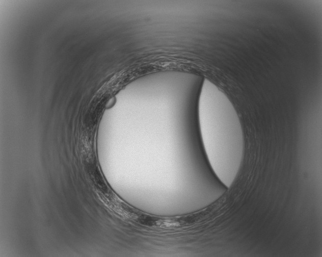 X0000086060607200703230949
